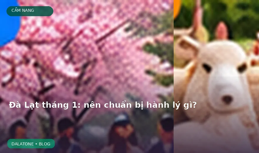Đà Lạt tháng 1: nên chuẩn bị hành lý gì?