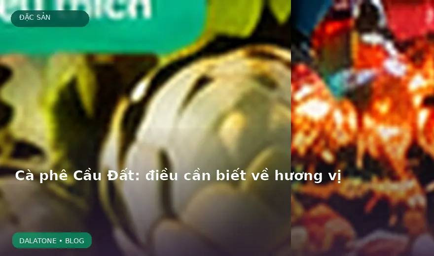 Cà phê Cầu Đất: điều cần biết về hương vị