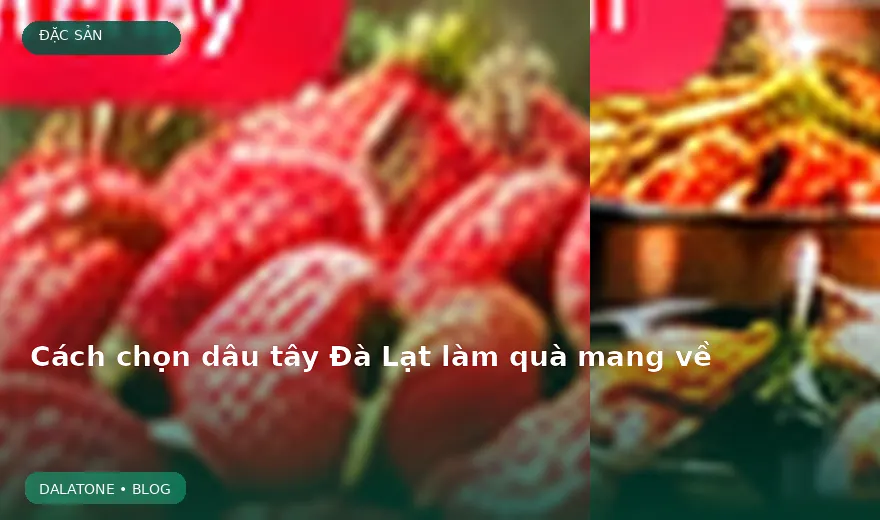 Cách chọn dâu tây Đà Lạt làm quà mang về