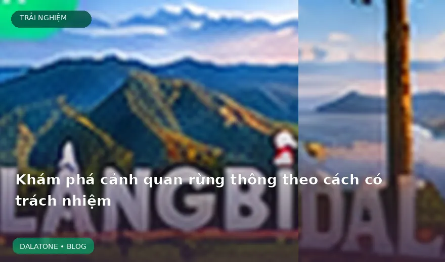 Khám phá cảnh quan rừng thông theo cách có trách nhiệm