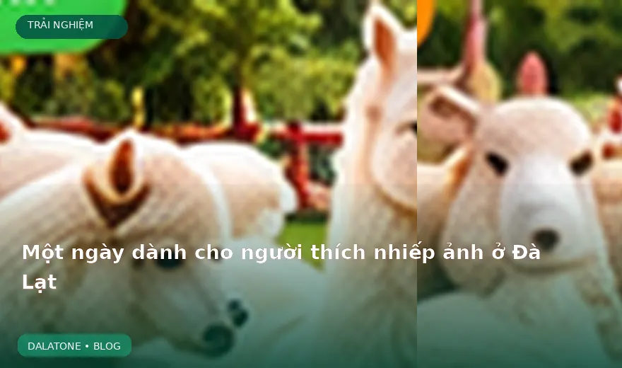 Một ngày dành cho người thích nhiếp ảnh ở Đà Lạt