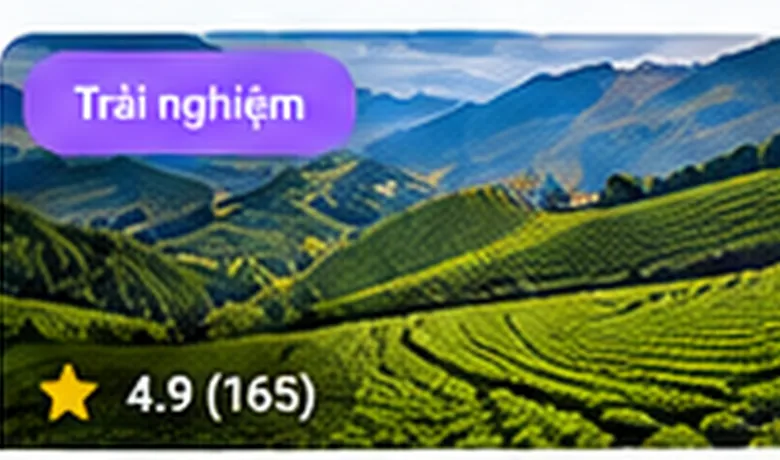 Tour Đồi Chè Cầu Đất